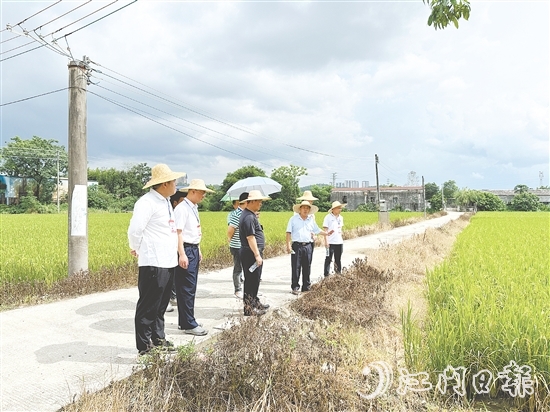 人大代表們到石青村視察典型村建設(shè)情況。