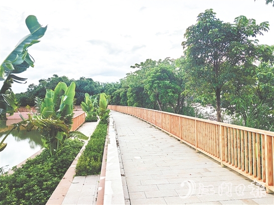 在紅衛(wèi)島堤防達(dá)標(biāo)加固工程的加持下，環(huán)島休閑漫步道建設(shè)持續(xù)推進(jìn)。