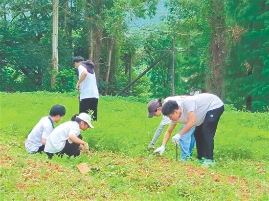 隊(duì)員們?cè)谔镩g進(jìn)行除草工作。