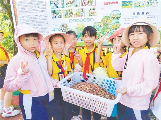 學(xué)生采摘花生，感受豐收的喜悅。