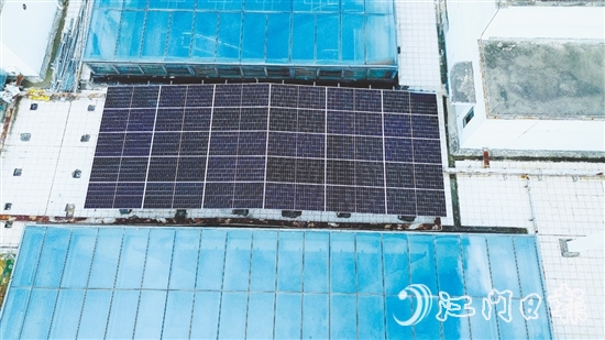 臺山市檔案館建筑屋頂上，一片深藍(lán)色的“光能矩陣”正悄然形成。
