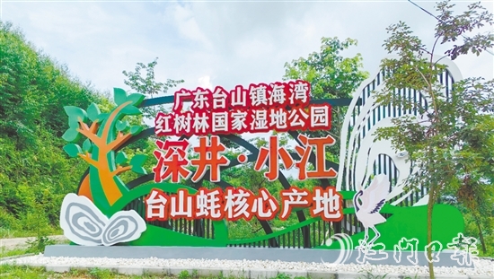 深井鎮(zhèn)小江村是國家地理標志農產品“臺山蠔”核心產區(qū)、蠔苗養(yǎng)殖主產區(qū)，也是廣東臺山鎮(zhèn)海灣紅樹林國家濕地公園東北入口。