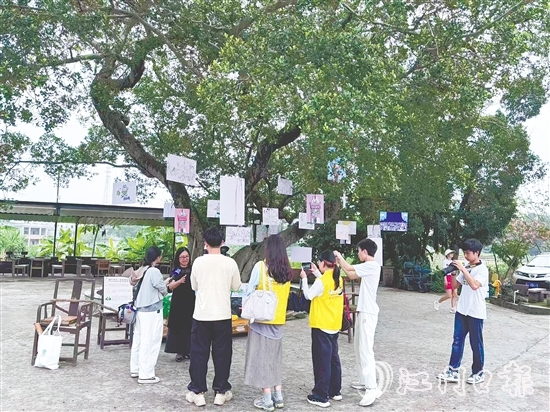 胡丹陽(yáng)選擇將畫(huà)展搬到倉(cāng)東村的大榕樹(shù)下。