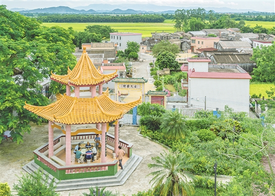 沖蔞鎮(zhèn)西海村通過校地協(xié)作、環(huán)境整治、文旅融合等舉措，推動(dòng)產(chǎn)業(yè)提質(zhì)、民生改善、文化傳承。