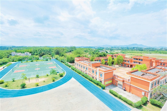 臺山怡霖學校從最初的德星學堂到如今的現(xiàn)代化民辦學校，見證了臺山教育的發(fā)展歷程。