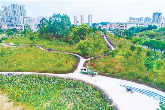 鶴山市聚焦城市交通重要點位，科學(xué)規(guī)劃，打造鶴山文化中心綠美鶴山示范點等，帶動城鄉(xiāng)一體綠美提升。