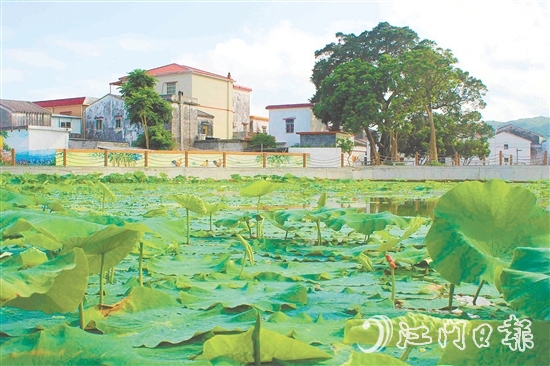 從產(chǎn)業(yè)協(xié)同到生態(tài)蝶變，從設施完善到文化繁榮，川島鎮(zhèn)甫草村甫草村以資源稟賦為基，展現(xiàn)新變化。