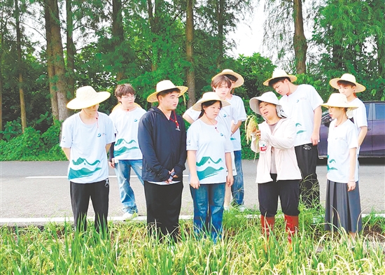 李蘇紅為隊(duì)員們介紹水稻生長(zhǎng)各個(gè)環(huán)節(jié)的特點(diǎn)與注意事項(xiàng)。