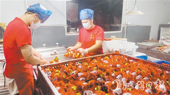 赤水鎮(zhèn)依托麻鴨養(yǎng)殖傳統(tǒng)優(yōu)勢(shì)，錨定“精深加工”做文章。