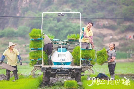 斗山鎮(zhèn)五福村以“產(chǎn)業(yè)融合+生態(tài)提質(zhì)+治理創(chuàng)新”的實踐路徑，將土地資源轉(zhuǎn)化為發(fā)展資本，讓傳統(tǒng)農(nóng)業(yè)迸發(fā)出現(xiàn)代活力。