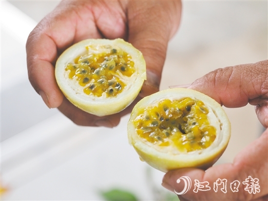 切開黃金百香果，酸甜的香氣撲面而來，十分誘人。