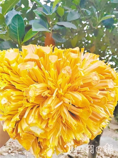 紅肉菠蘿蜜果實清香、口感脆甜且營養(yǎng)價值高。
