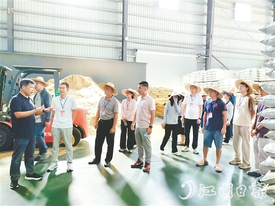人大代表視察粵翔公司魚粉加工現(xiàn)場。