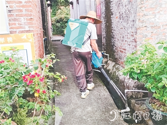 三江鎮(zhèn)應急消殺隊對蚊蟲易孳生場所進行全面消殺。