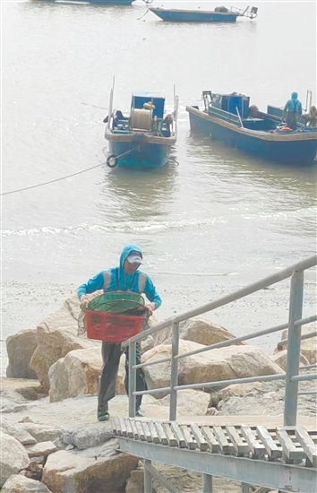 等到漁船靠岸，你可以在漁民處買到各種新鮮海鮮。