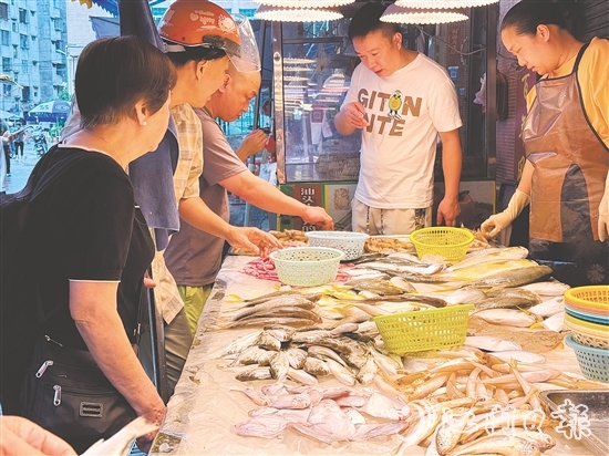肥美的時令海鮮大量上市，價格較休漁期有所下降，吸引眾多游客、市民搶購嘗鮮。