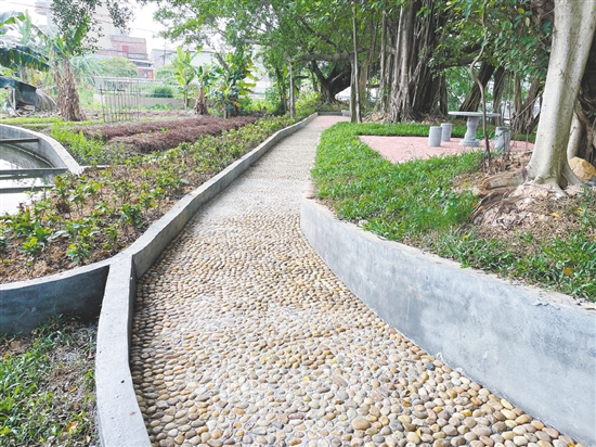 恩平自然村公園里裝設了石凳、石桌、鵝卵石健身路等設施，為村民提供更多的文化活動選擇。
