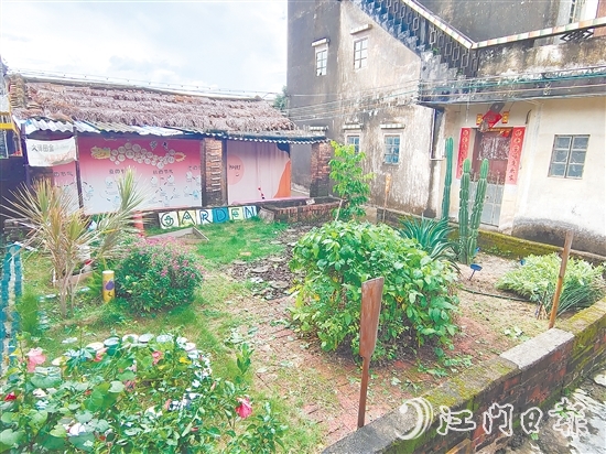 郭一芳家的庭院用沙地植物打造而成，形成層次分明的生態(tài)景觀。