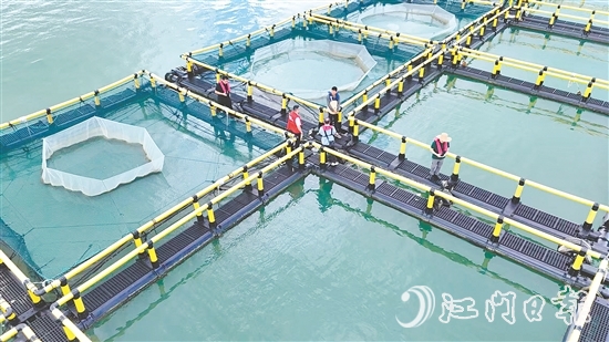 臺風(fēng)到來前，江門人保財險理賠人員奔赴川島沿岸海洋牧場，勘察安全隱患。