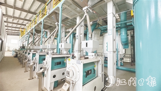 赤水鎮(zhèn)水仔口健康食品產(chǎn)業(yè)園吸引多家優(yōu)質(zhì)企業(yè)入駐。圖為金籮米業(yè)的絲苗米優(yōu)勢特色產(chǎn)業(yè)集群項目，目前進入設備調(diào)試階段。