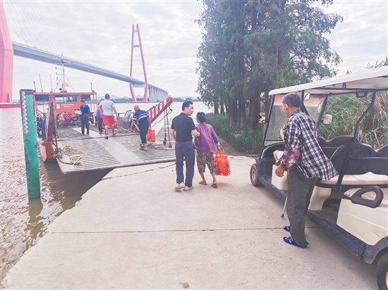 新會(huì)區(qū)三江鎮(zhèn)沙仔島是銀洲湖上的孤島，四面環(huán)水，僅靠渡船往來(lái)。昨日，三江鎮(zhèn)對(duì)沙仔島全島常住村民60多人全部進(jìn)行轉(zhuǎn)移。馮瑤君