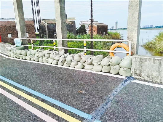 臺(tái)山市大江鎮(zhèn)重點(diǎn)通過(guò)堆疊防汛沙包，對(duì)轄區(qū)江邊所有易漫水口進(jìn)行逐一封堵、壓實(shí)，切實(shí)將臺(tái)風(fēng)可能引發(fā)的江水漫溢風(fēng)險(xiǎn)降至最低。李嘉敏