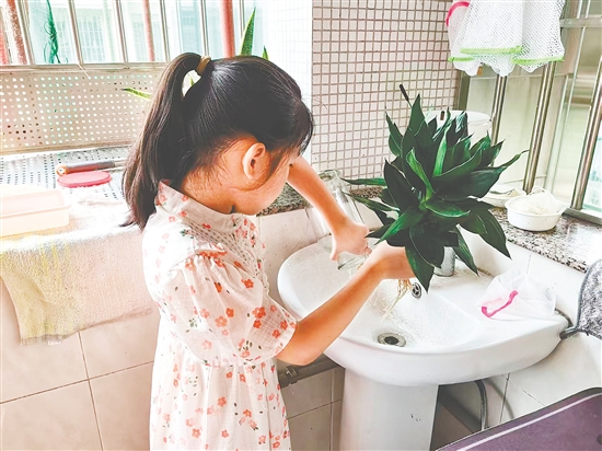 豐樂小學(xué)學(xué)生清理家里花瓶的積水。