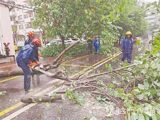 江南街道工作人員清理倒伏樹木。