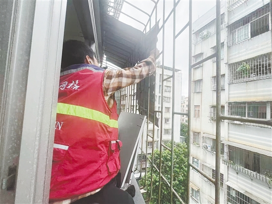 蓬江區(qū)育德社區(qū)網(wǎng)格員協(xié)助屋主及時(shí)將松動的鐵皮擋雨板拆下，消除安全隱患。任佳燕