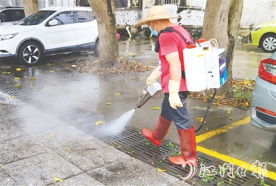 鶴山市各學(xué)校組建教師消殺志愿隊(duì)，聯(lián)合專業(yè)消殺人員對(duì)校園重點(diǎn)區(qū)域進(jìn)行精細(xì)化滅蚊作業(yè)。