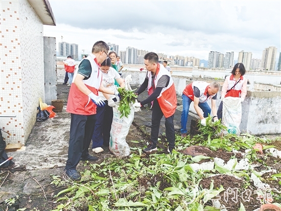 黨員干部在老舊居民樓頂清理廢棄花盆、雜物、亂生植物，不放過任何一個衛(wèi)生死角。