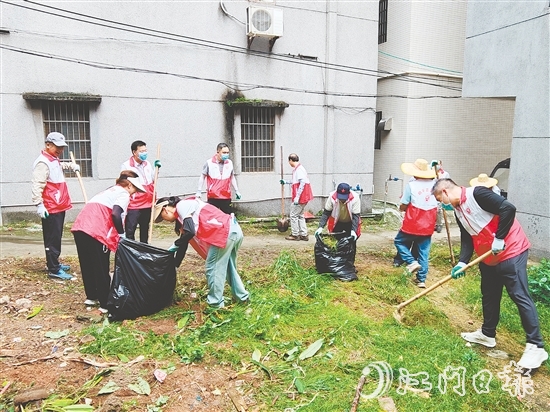 恩平市政協(xié)委員到基層參與環(huán)境整治。