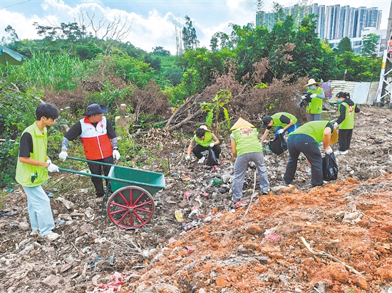 鶴山市青年志愿者分工明確，高效清理屬地垃圾。