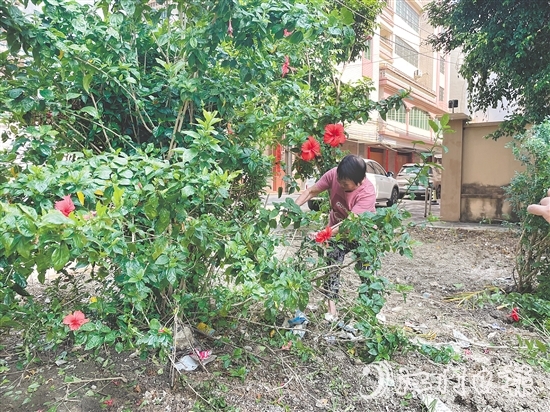 75歲的梁婆婆主動(dòng)參與社區(qū)環(huán)境整治。