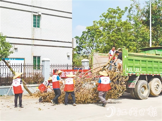 大槐鎮(zhèn)各級人大代表積極參與環(huán)境衛(wèi)生整治工作，清除蚊蟲孳生點。