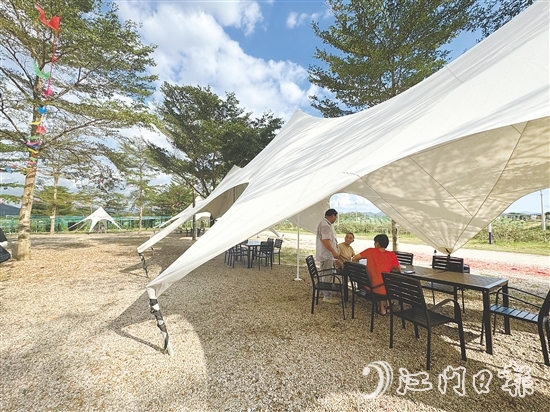 生態(tài)園新開辟的露營區(qū)。