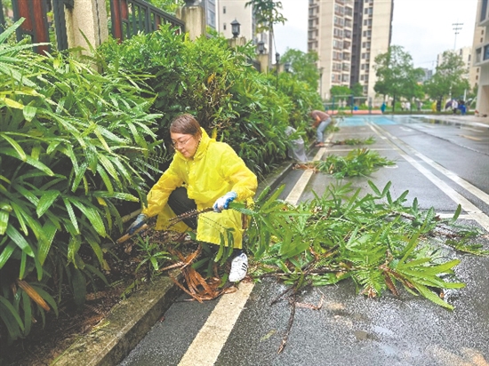梁杏茹在清理雜草樹(shù)枝。