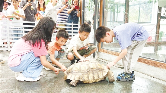福倫文旅龜博園是嶺南地區(qū)首個(gè)以龜文化為主題的文旅博覽園。