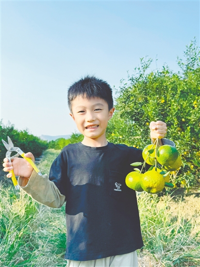 小朋友到果園體驗采摘的樂趣。