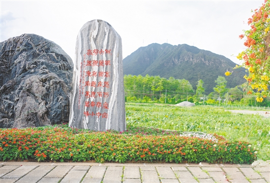 陳白沙景觀石是城西村的網(wǎng)紅打卡點。