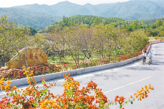 村道漂亮了，不少騎友從沙坪騎行到城西村，呼吸這里清新的空氣。