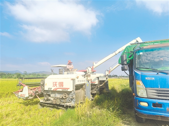 牛江鎮(zhèn)農(nóng)產(chǎn)品綜合服務站可以為廣大農(nóng)戶提供水稻種植全程社會化服務。