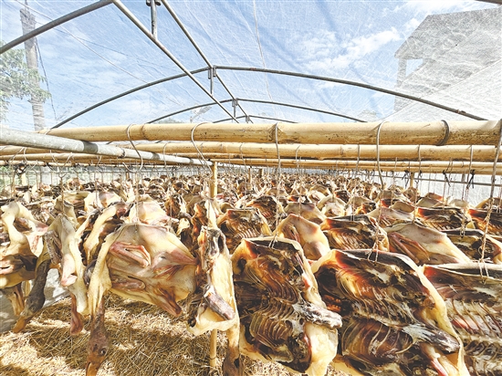 那吉臘鴨香氣四溢。