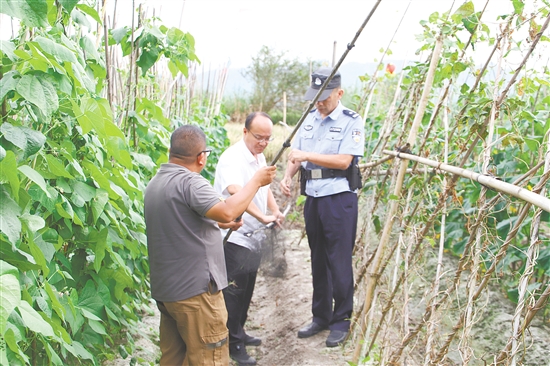 工作人員深入重點區(qū)域開展巡邏清網(wǎng)。