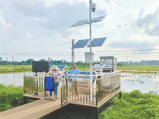 臺山市著力打造全域覆蓋的智能監(jiān)測網(wǎng)絡，讓“慧眼”遍布田間地頭。