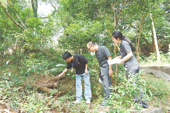 “林長(zhǎng)+森林法官”聯(lián)合巡林，守護(hù)生態(tài)環(huán)境。