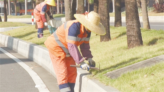 環(huán)衛(wèi)工人仔細清理綠化帶、溝渠雜草。