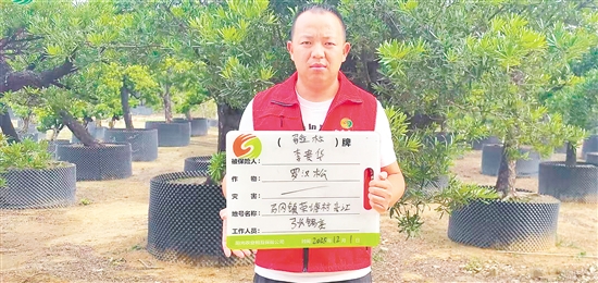 工作人員為種植戶辦理花卉苗木氣象指數(shù)保險(xiǎn)承保出單。