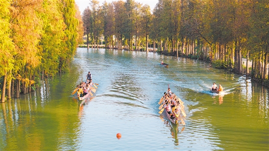 在禮樂禮聯(lián)龍舟基地，冠軍團(tuán)隊(duì)成員在龍舟上與禮樂當(dāng)?shù)佚堉劢阂黄鸷狭ο蚯皠潣?，沉浸式體驗(yàn)“禮樂龍舟”這一省級(jí)非遺的獨(dú)特魅力。謝杰華