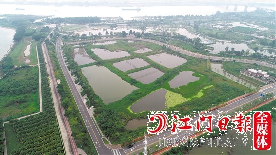蓬江18號(hào)地實(shí)景圖。